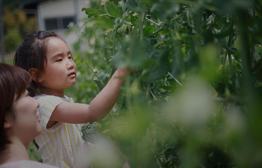 写真：暮らしの様子