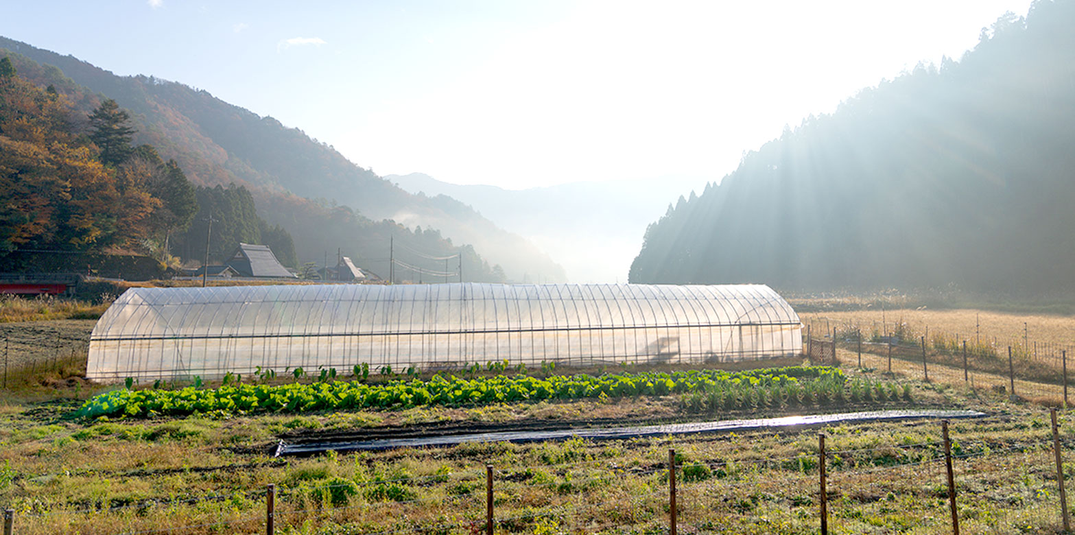 写真：京都府南丹市美山町の風景