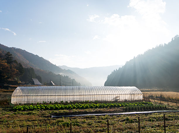 Image：Farming experience