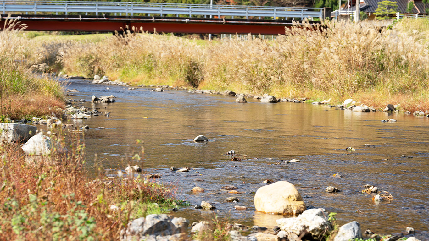 写真：遊里キャンプ場