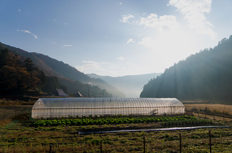 画像:14:00農業体験